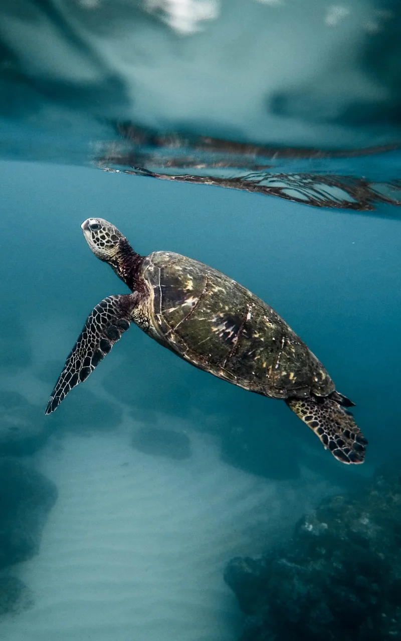 B2B marketing in 2026: what’s actually changing and what isn’t